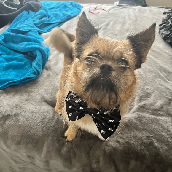 Meet your Posher, Chad - Picture 2 of 7